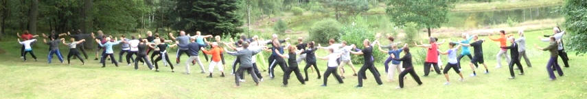 Akademie des DTB-Dachverbands empfiehlt zertifizierte Lehrer-Ausbildung Ingolstadt / Bayern f�r Qigong, Tai Chi und Push Hands